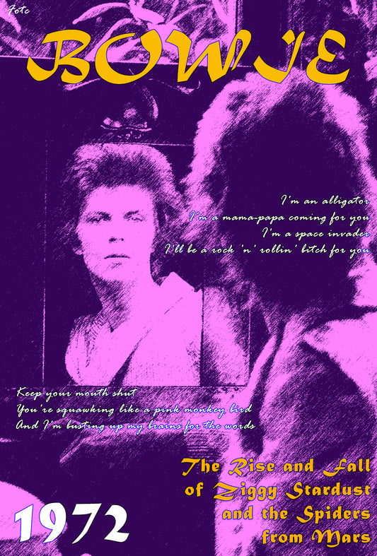 David Bowie- The Rise of Ziggy Stardust and The Spiders From Mars Poster